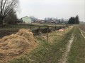 Fotka 9