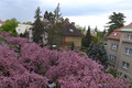 Fotka 9