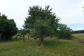 Fotka 21
