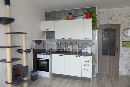 Prodej útulného bytu 1+1 po částečné rekonstrukci v Dobřanech - Fotka 1