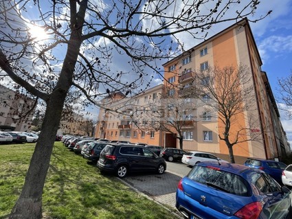 Pronájem slunného bytu 3+kk+B po rekonstrukci, Plzeň - Bory - Fotka 1