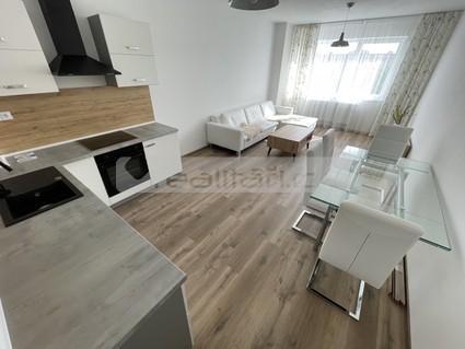 Pronájem novostavby bytu 2+kk s parkovacím stáním, Plzeň-Skvrňany - Fotka 1