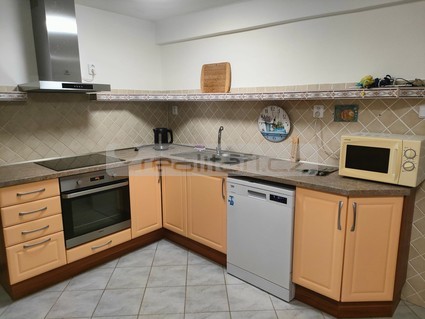 Pronájem bytu 2+1 se zahrádkou a parkovacím stáním v Sedlci, v části města Starý Plzenec - Fotka 1