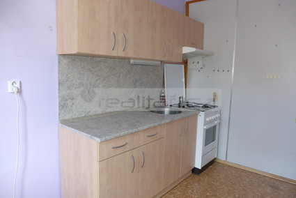 Pronájem prostorného cihlového bytu 1+1 s komorou v širším centru Plzně - Fotka 1