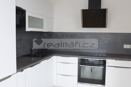 Pronájem novostavby 2+kk se společnou zahradou a garážovým stáním v Plzni na Borech - Fotka 1