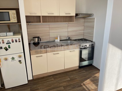 Pronájem slunného bytu 1+kk s balkonem po rekonstrukci v Plzni - Doubravce - Fotka 1