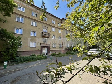 Pronájem slunného bytu 3+1+B po rekonstrukci, Plzeň - Slovany - Fotka 1