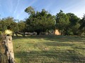 Fotka 9