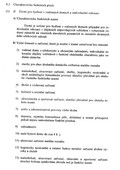 Fotka 7