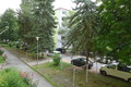 Fotka 8