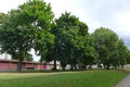 Fotka 14