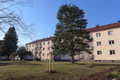Fotka 12