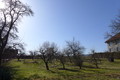 Fotka 6