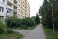 Fotka 9